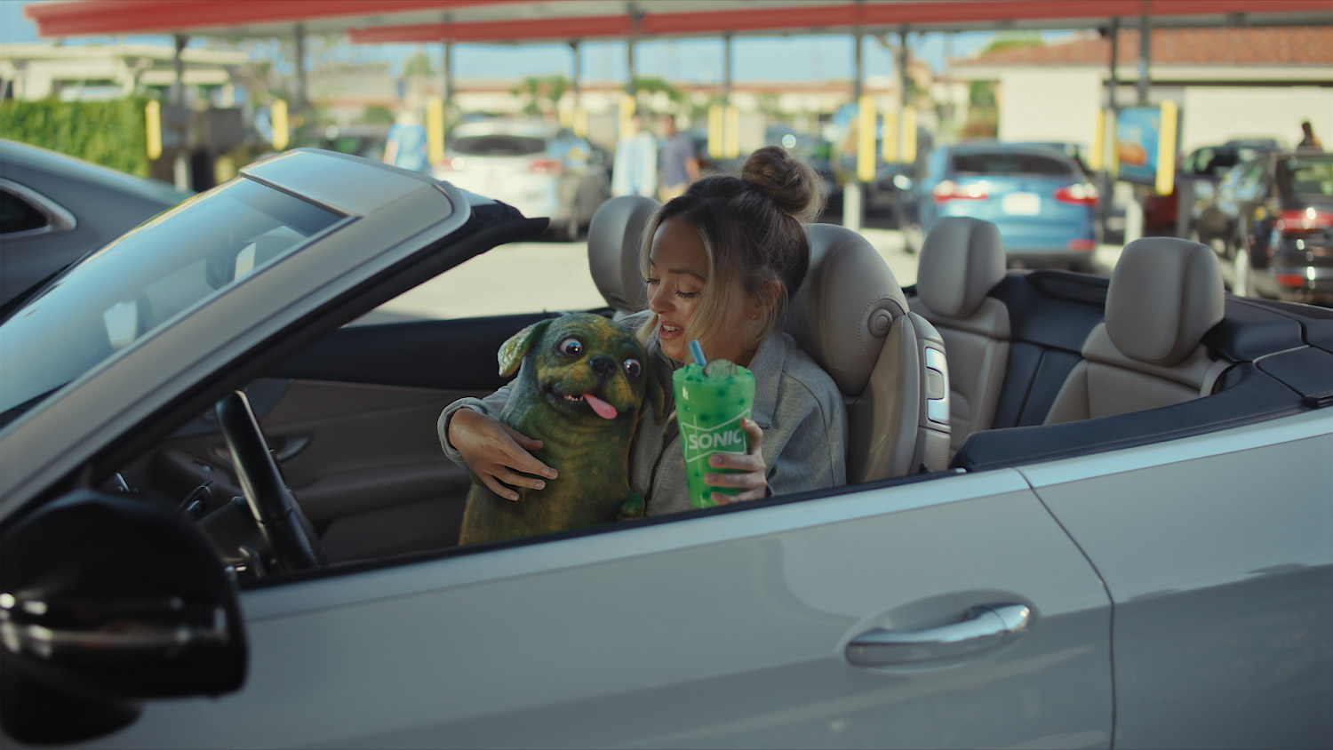 Sonic - Pickle World — image 1